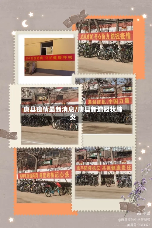 唐县疫情最新消息/唐县新增冠状肺炎-第2张图片