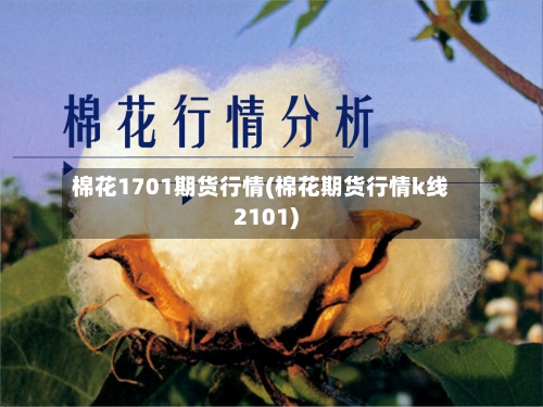 棉花1701期货行情(棉花期货行情k线2101)
