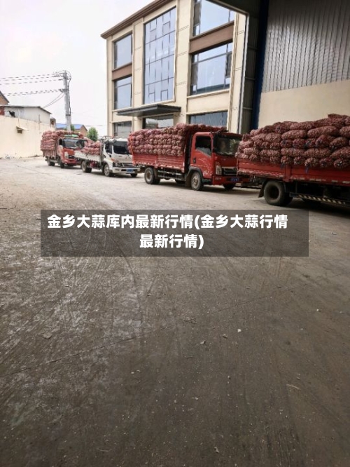 金乡大蒜库内最新行情(金乡大蒜行情最新行情)