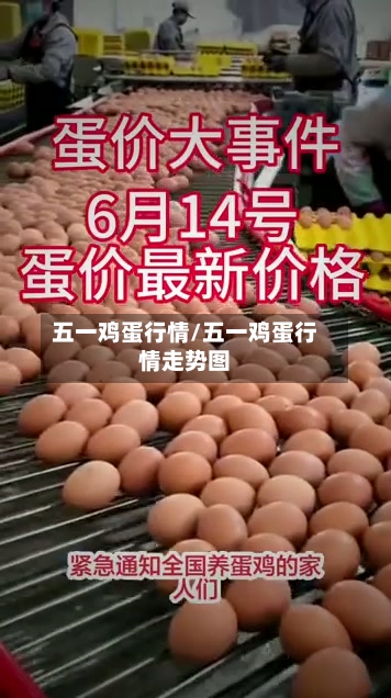 五一鸡蛋行情/五一鸡蛋行情走势图