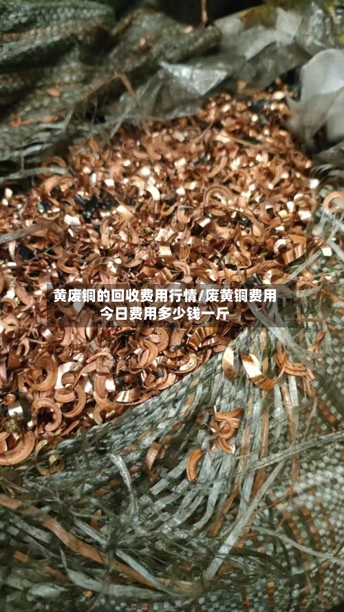 黄废铜的回收费用行情/废黄铜费用今日费用多少钱一斤