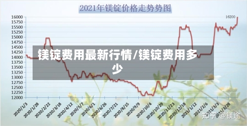 镁锭费用最新行情/镁锭费用多少