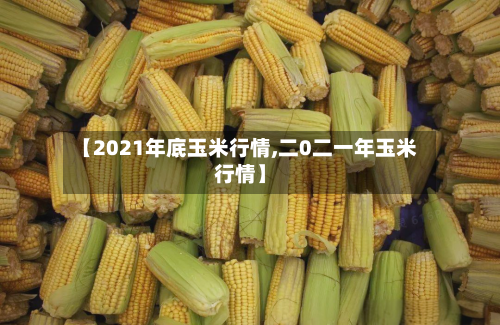 【2021年底玉米行情,二0二一年玉米行情】-第2张图片