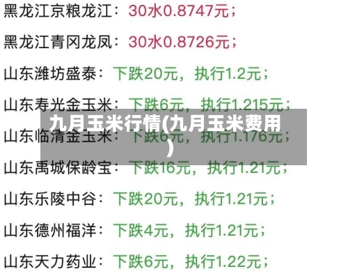 九月玉米行情(九月玉米费用)