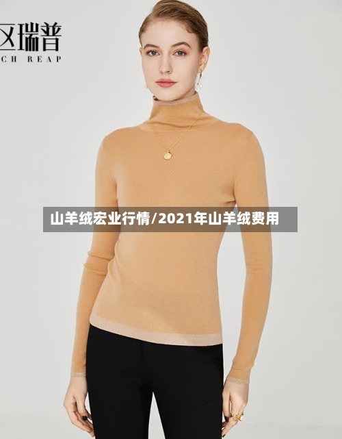 山羊绒宏业行情/2021年山羊绒费用