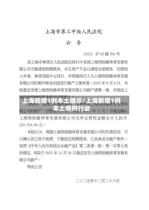 上海新增1例本土确诊/上海新增1例本土病例行动-第2张图片