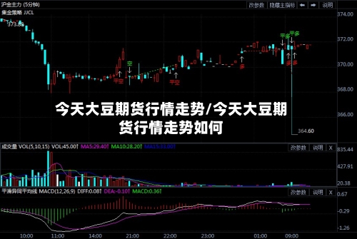 今天大豆期货行情走势/今天大豆期货行情走势如何-第2张图片