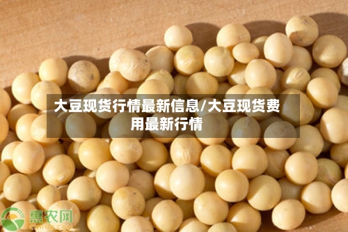 大豆现货行情最新信息/大豆现货费用最新行情