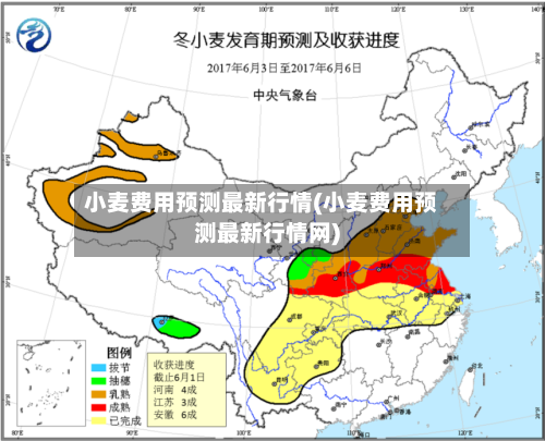 小麦费用预测最新行情(小麦费用预测最新行情网)