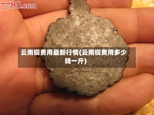 云南铜费用最新行情(云南铜费用多少钱一斤)-第3张图片