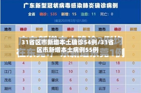 31省区市新增本土确诊54例/31省区市新增本土病例55例