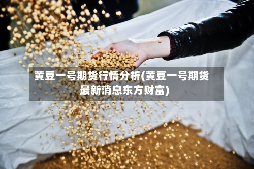 黄豆一号期货行情分析(黄豆一号期货最新消息东方财富)
