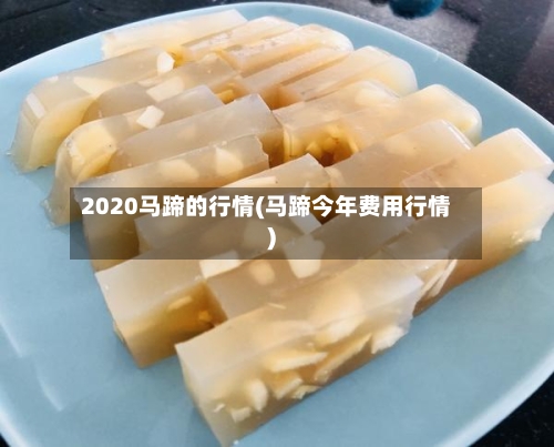 2020马蹄的行情(马蹄今年费用行情)-第2张图片