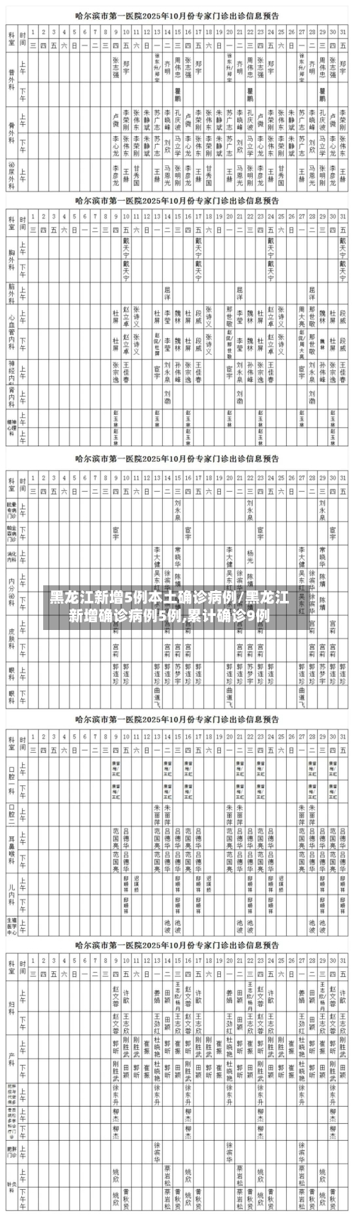 黑龙江新增5例本土确诊病例/黑龙江新增确诊病例5例,累计确诊9例