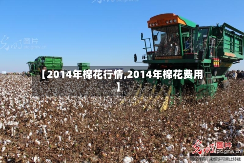 【2014年棉花行情,2014年棉花费用】-第2张图片