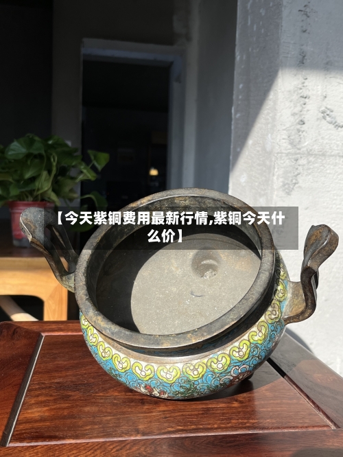 【今天紫铜费用最新行情,紫铜今天什么价】