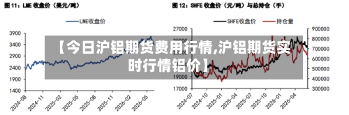 【今日沪铝期货费用行情,沪铝期货实时行情铝价】