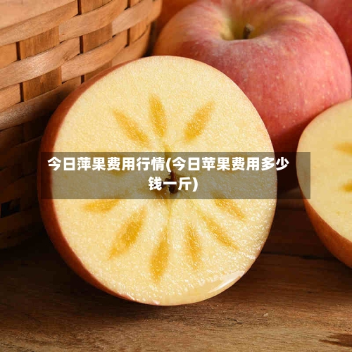 今日萍果费用行情(今日苹果费用多少钱一斤)-第2张图片