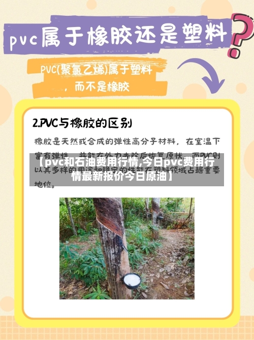 【pvc和石油费用行情,今日pvc费用行情最新报价今日原油】-第3张图片