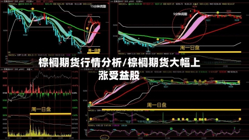 棕榈期货行情分析/棕榈期货大幅上涨受益股-第3张图片