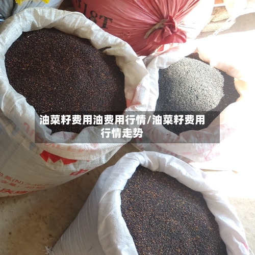 油菜籽费用油费用行情/油菜籽费用行情走势