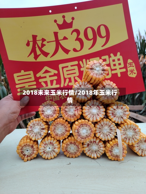2018未来玉米行情/2018年玉米行情