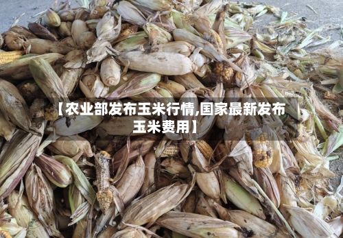 【农业部发布玉米行情,国家最新发布玉米费用】-第2张图片
