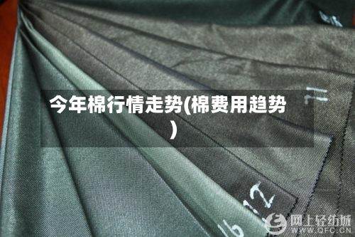 今年棉行情走势(棉费用趋势)-第3张图片