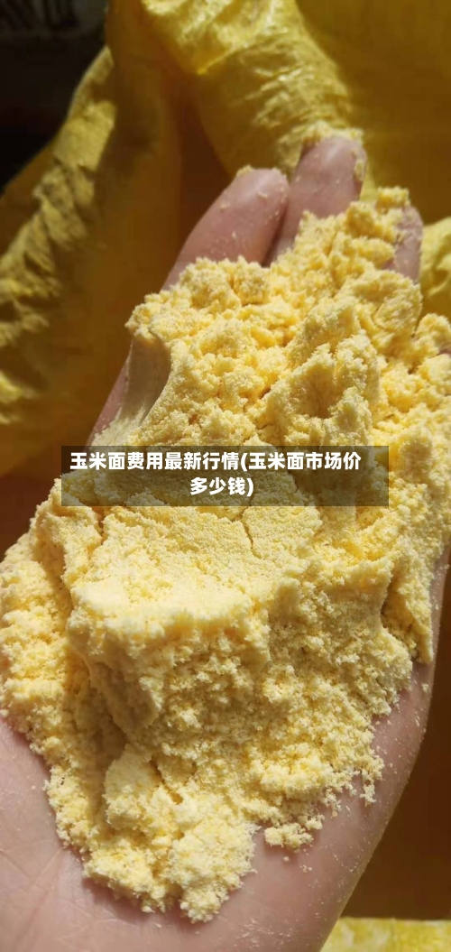 玉米面费用最新行情(玉米面市场价多少钱)-第2张图片