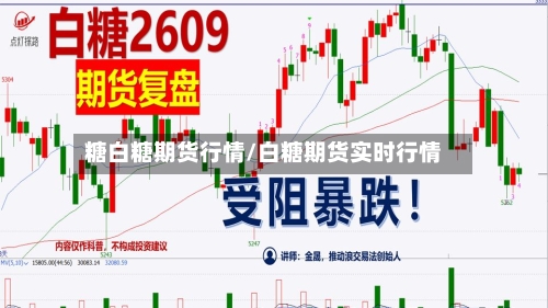 糖白糖期货行情/白糖期货实时行情