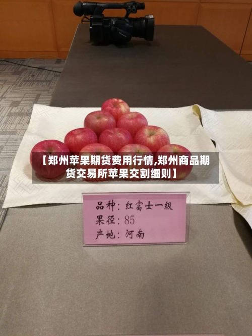 【郑州苹果期货费用行情,郑州商品期货交易所苹果交割细则】