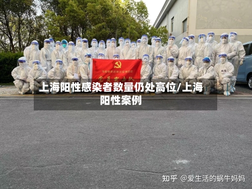 上海阳性感染者数量仍处高位/上海阳性案例