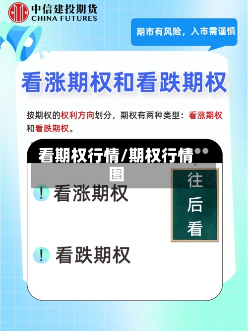 看期权行情/期权行情图