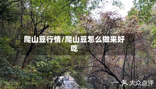 爬山豆行情/爬山豆怎么做来好吃