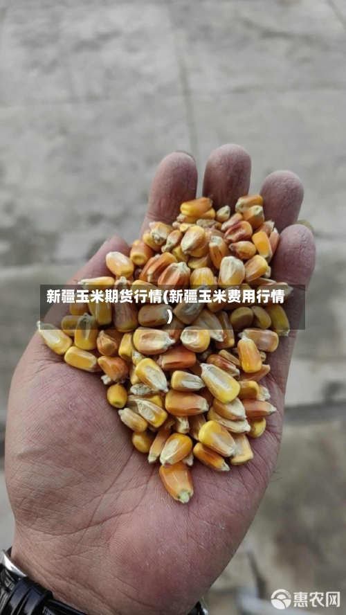 新疆玉米期货行情(新疆玉米费用行情)