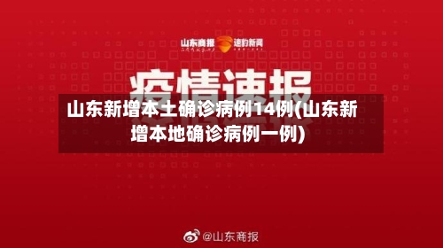 山东新增本土确诊病例14例(山东新增本地确诊病例一例)