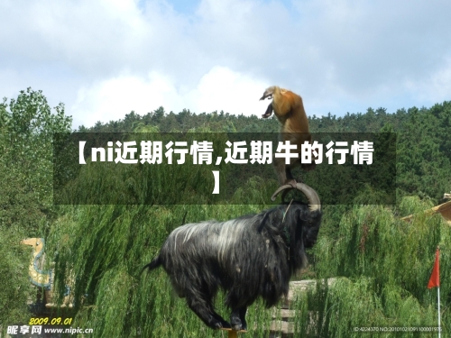 【ni近期行情,近期牛的行情】-第2张图片