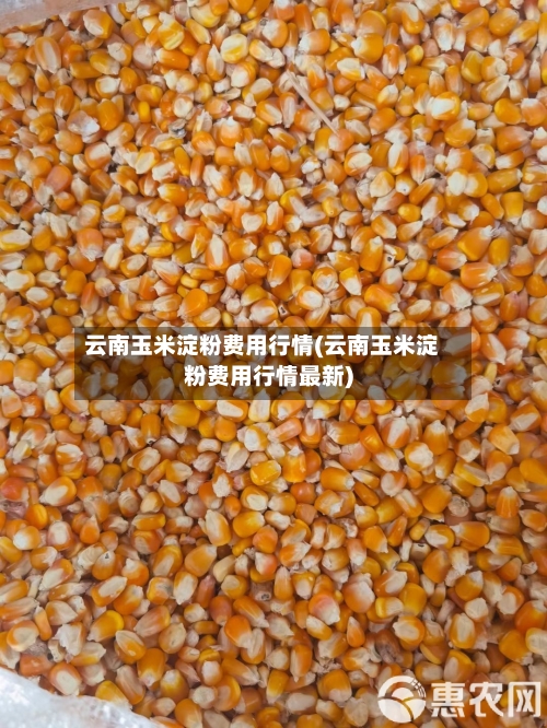 云南玉米淀粉费用行情(云南玉米淀粉费用行情最新)-第2张图片