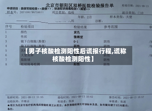 【男子核酸检测阳性后谎报行程,谎称核酸检测阳性】-第2张图片