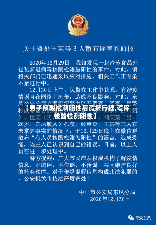 【男子核酸检测阳性后谎报行程,谎称核酸检测阳性】-第3张图片