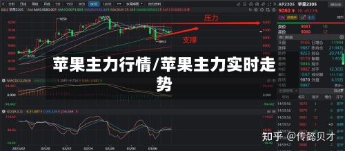 苹果主力行情/苹果主力实时走势-第2张图片