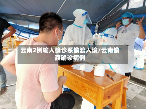 云南2例输入确诊系偷渡入境/云南偷渡确诊病例-第3张图片