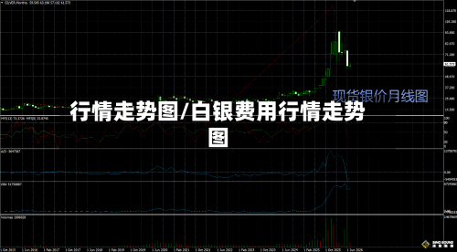 行情走势图/白银费用行情走势图
