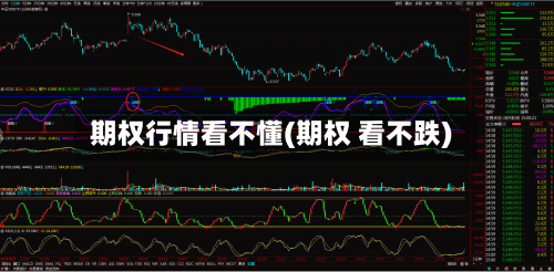 期权行情看不懂(期权 看不跌)