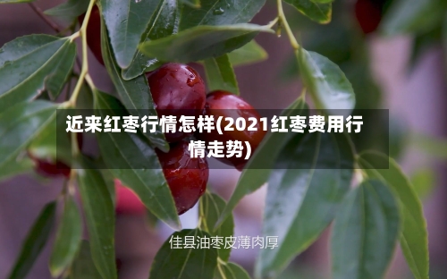 近来红枣行情怎样(2021红枣费用行情走势)