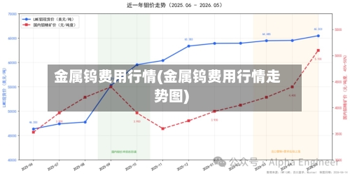 金属钨费用行情(金属钨费用行情走势图)