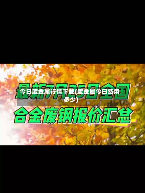 今日废金属行情下载(废金属今日费用多少)