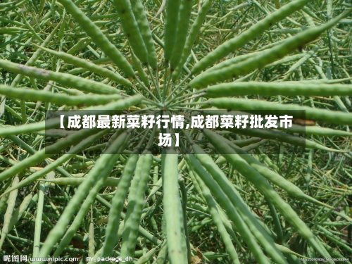 【成都最新菜籽行情,成都菜籽批发市场】