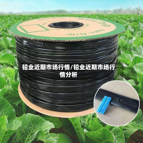 铅业近期市场行情/铅业近期市场行情分析-第2张图片