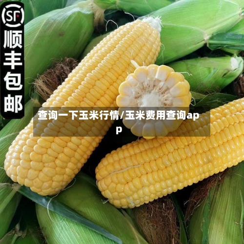 查询一下玉米行情/玉米费用查询app-第2张图片